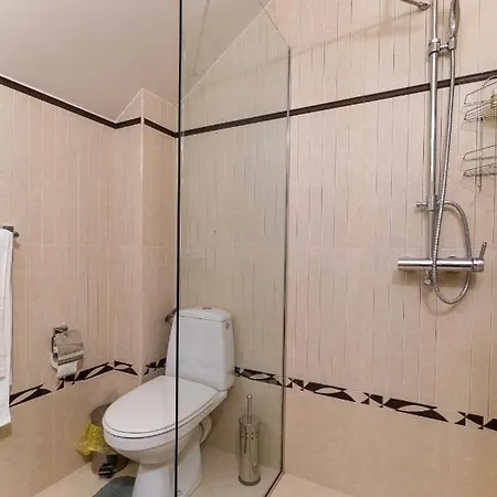 Apartment Spacious In The Center